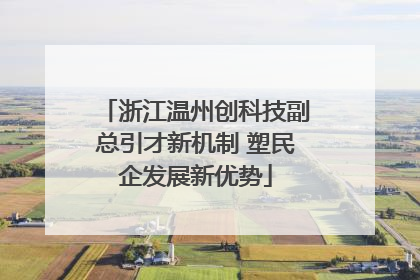 浙江温州创科技副总引才新机制 塑民企发展新优势