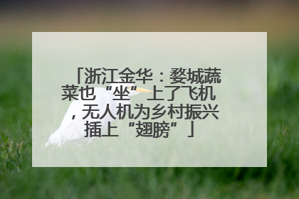 浙江金华：婺城蔬菜也“坐”上了飞机，无人机为乡村振兴插上“翅膀”