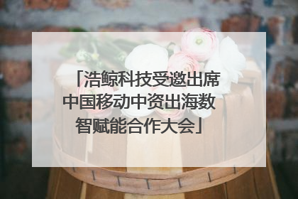 浩鲸科技受邀出席中国移动中资出海数智赋能合作大会