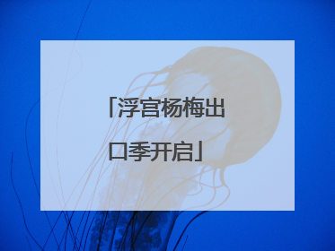 浮宫杨梅出口季开启