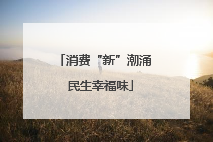 消费“新”潮涌 民生幸福味