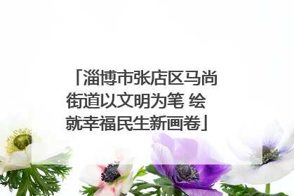 淄博市张店区马尚街道以文明为笔 绘就幸福民生新画卷