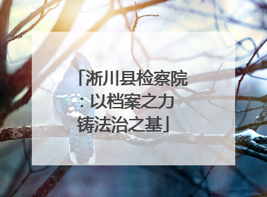 淅川县检察院：以档案之力 铸法治之基