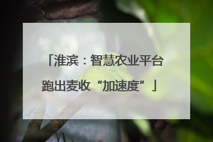 淮滨：智慧农业平台跑出麦收“加速度”