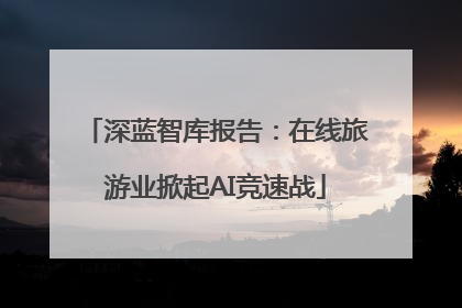 深蓝智库报告：在线旅游业掀起AI竞速战