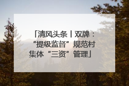 清风头条丨双牌：“提级监督”规范村集体“三资”管理