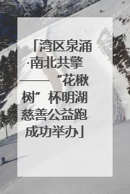 湾区泉涌·南北共擎——“花楸树”杯明湖慈善公益跑成功举办