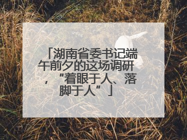 湖南省委书记端午前夕的这场调研，“着眼于人、落脚于人”