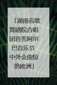 湖南省歌舞剧院合唱团首秀阿尔巴音乐节 中外金曲惊艳欧洲