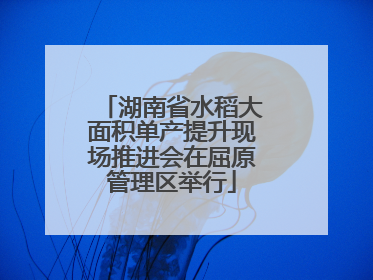 湖南省水稻大面积单产提升现场推进会在屈原管理区举行