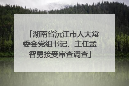 湖南省沅江市人大常委会党组书记、主任孟智勇接受审查调查