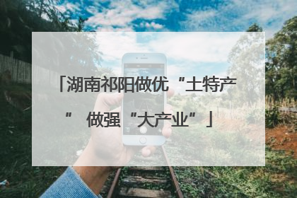湖南祁阳做优“土特产” 做强“大产业”