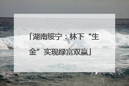 湖南绥宁：林下“生金”实现绿富双赢