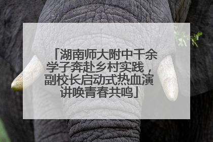 湖南师大附中千余学子奔赴乡村实践，副校长启动式热血演讲唤青春共鸣