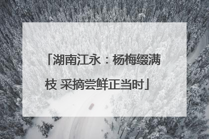 湖南江永：杨梅缀满枝 采摘尝鲜正当时