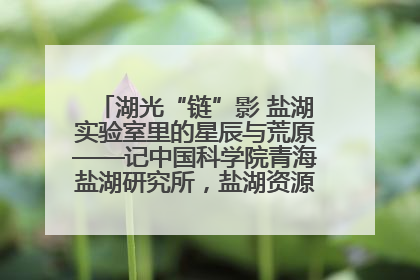 湖光“链”影 盐湖实验室里的星辰与荒原——记中国科学院青海盐湖研究所，盐湖资源化学实验室党总支书记、副主任刘忠
