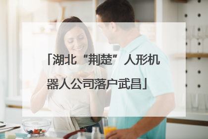 湖北“荆楚”人形机器人公司落户武昌