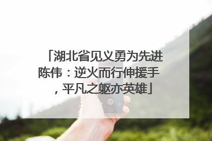 湖北省见义勇为先进陈伟：逆火而行伸援手，平凡之躯亦英雄