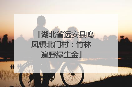 湖北省远安县鸣凤镇北门村：竹林遍野绿生金