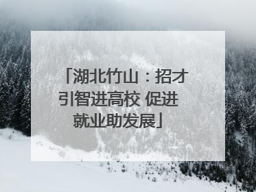 湖北竹山：招才引智进高校 促进就业助发展
