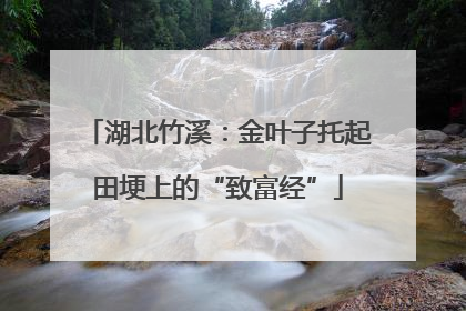 湖北竹溪：金叶子托起田埂上的“致富经”