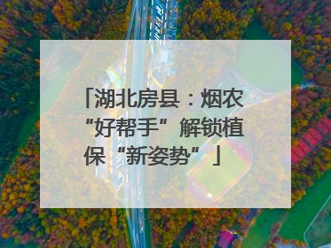 湖北房县：烟农“好帮手”解锁植保“新姿势”