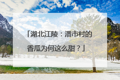湖北江陵：潘市村的香瓜为何这么甜？