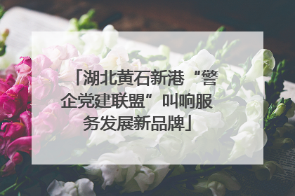 湖北黄石新港“警企党建联盟”叫响服务发展新品牌