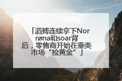 滔搏连续拿下Norrøna和soar背后，零售商开始在垂类市场“捡黄金”