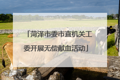 菏泽市委市直机关工委开展无偿献血活动