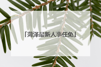 菏泽最新人事任免
