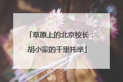 草原上的北京校长：胡小蒙的千里托举