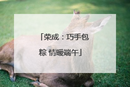 荣成：巧手包粽 情暖端午