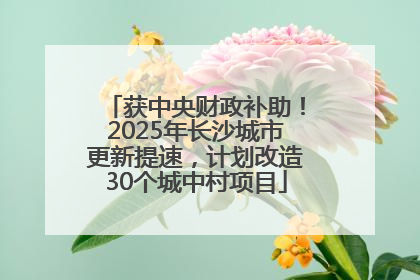 获中央财政补助！2025年长沙城市更新提速，计划改造30个城中村项目