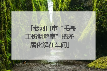 老河口市“毛哥工伤调解室”把矛盾化解在车间