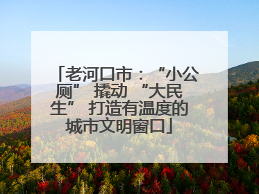 老河口市：“小公厕” 撬动 “大民生” 打造有温度的城市文明窗口
