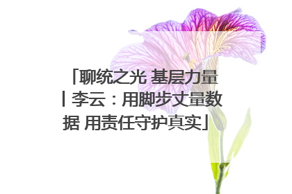 聊统之光 基层力量丨李云：用脚步丈量数据 用责任守护真实
