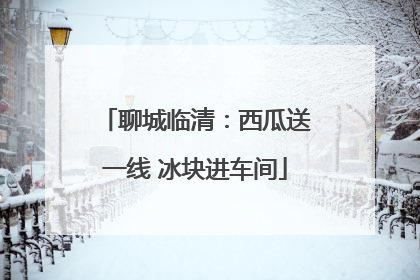 聊城临清：西瓜送一线 冰块进车间