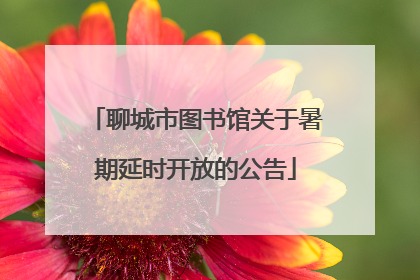 聊城市图书馆关于暑期延时开放的公告