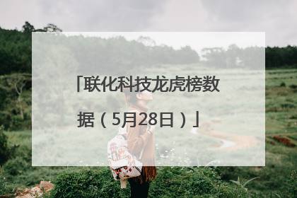 联化科技龙虎榜数据（5月28日）