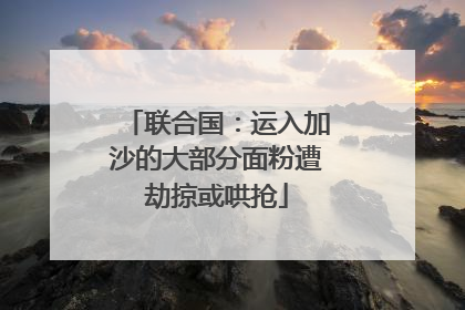 联合国：运入加沙的大部分面粉遭劫掠或哄抢