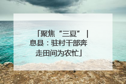 聚焦“三夏”｜息县：驻村干部奔走田间为农忙