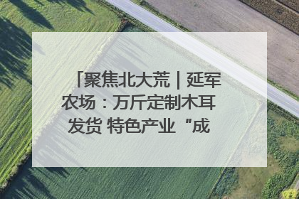 聚焦北大荒｜延军农场：万斤定制木耳发货 特色产业“成绩单”亮眼