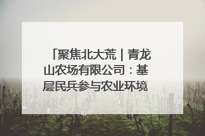 聚焦北大荒｜青龙山农场有限公司：基层民兵参与农业环境综合治理显效