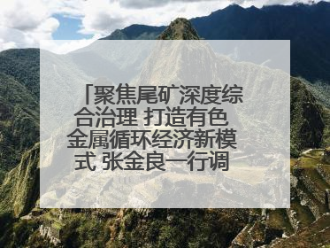聚焦尾矿深度综合治理 打造有色金属循环经济新模式 张金良一行调研栾川县尾矿库综合治理工作