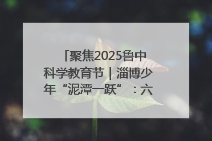 聚焦2025鲁中科学教育节｜淄博少年“泥潭一跃”：六一节里的勇气勋章
