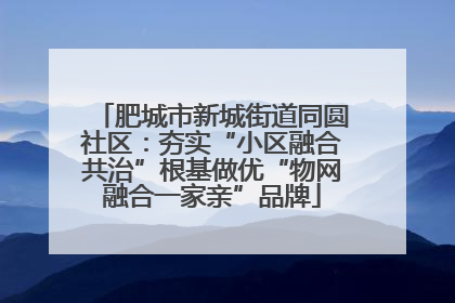 肥城市新城街道同圆社区：夯实“小区融合共治”根基做优“物网融合一家亲”品牌