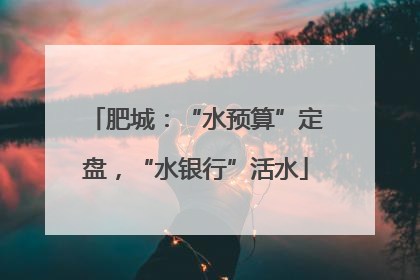 肥城：“水预算”定盘，“水银行”活水