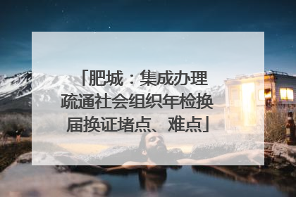 肥城：集成办理 疏通社会组织年检换届换证堵点、难点
