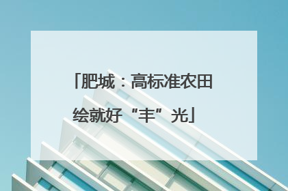 肥城：高标准农田绘就好“丰”光